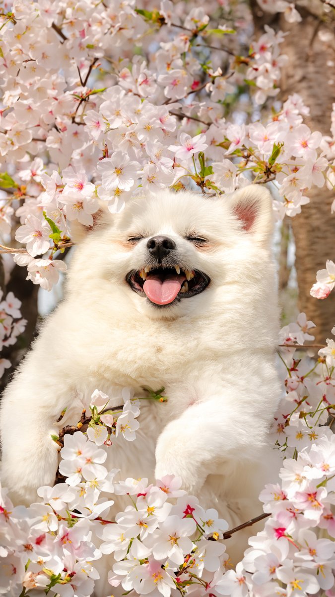 야외스냅 촬영 컷
