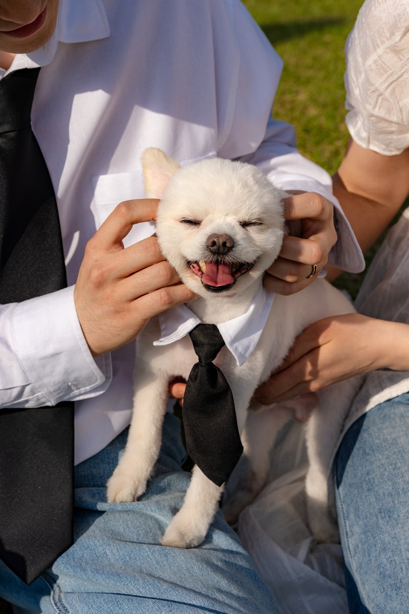 웨딩스냅 촬영 컷
